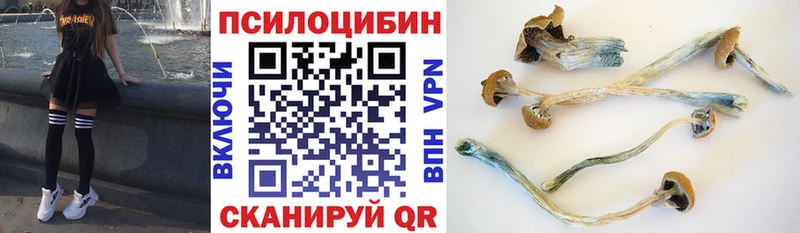 Галлюциногенные грибы прущие грибы  Малгобек 